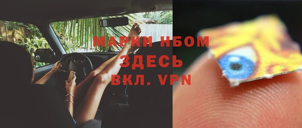 ГАЛЛЮЦИНОГЕННЫЕ ГРИБЫ Надым